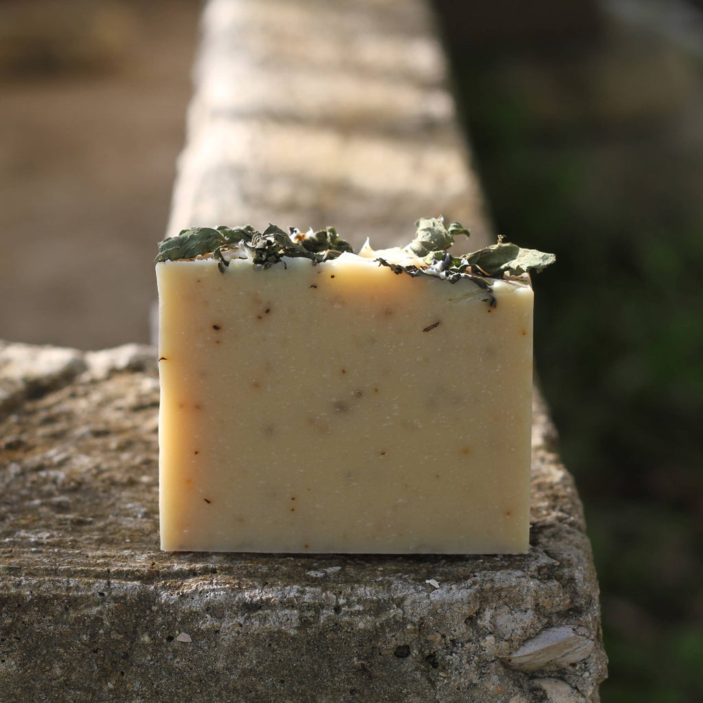Mint Blend Goats Milk Soap
