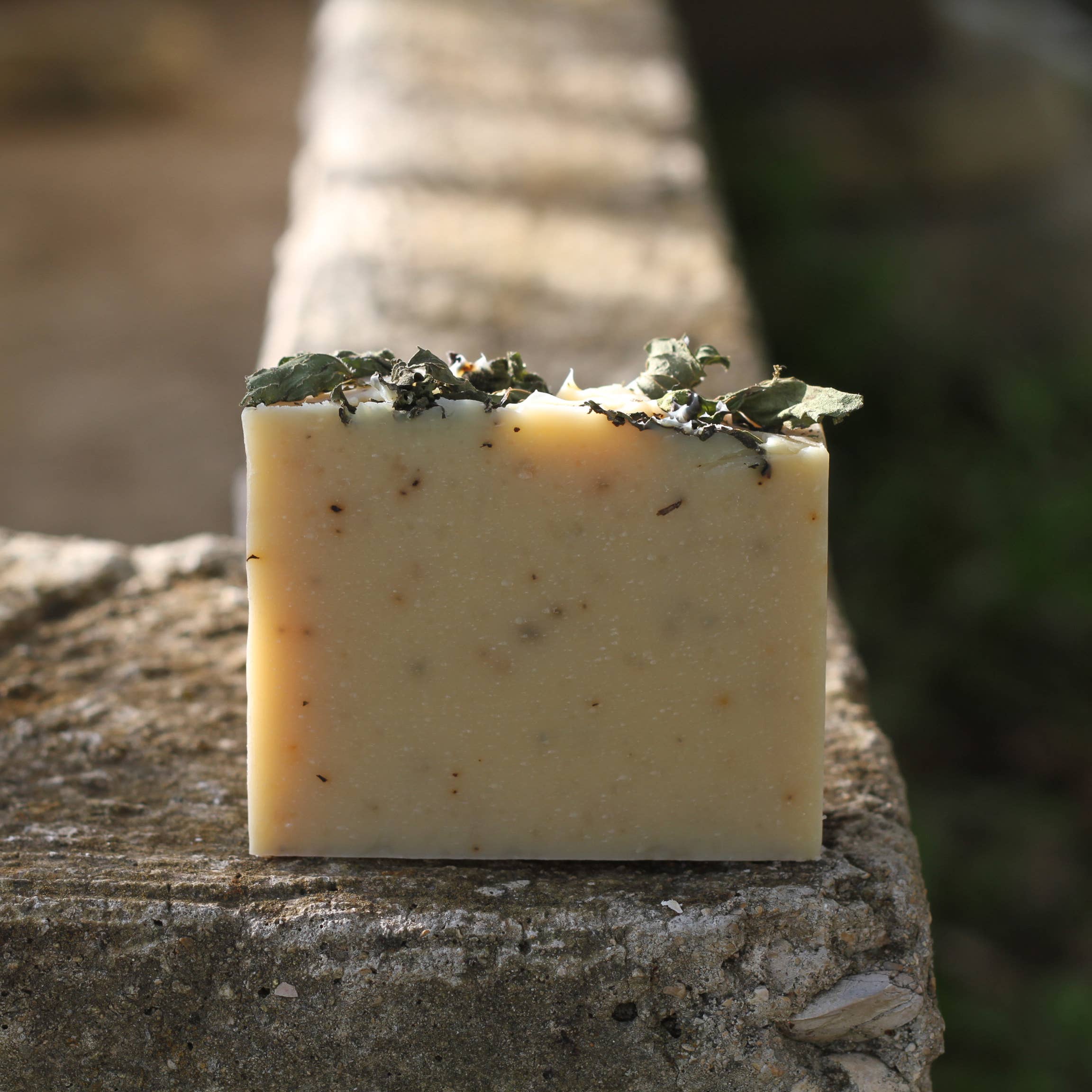 Mint Blend Goats Milk Soap